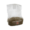 Rye grain Mushroom grow bag - Magic Mushroom substrate kit