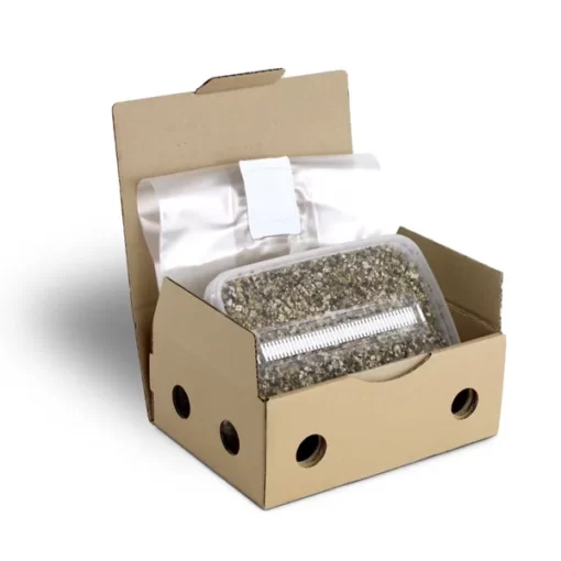 Magic Mushroom Grow Kit PES Amazon XL by Mondo®