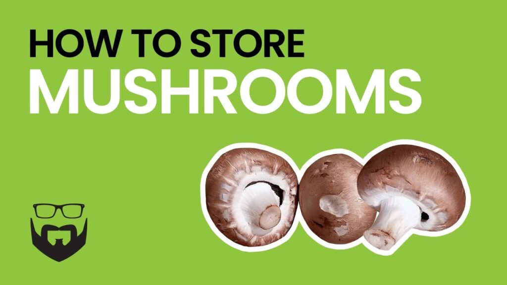 How to Store Mushroom Spores Properly